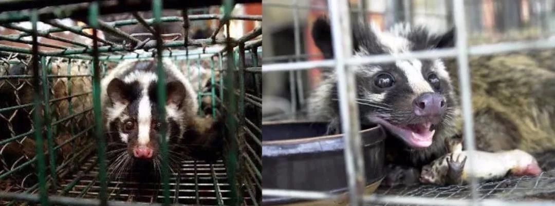 1665206506471324.jpg 传播疾病.jpg