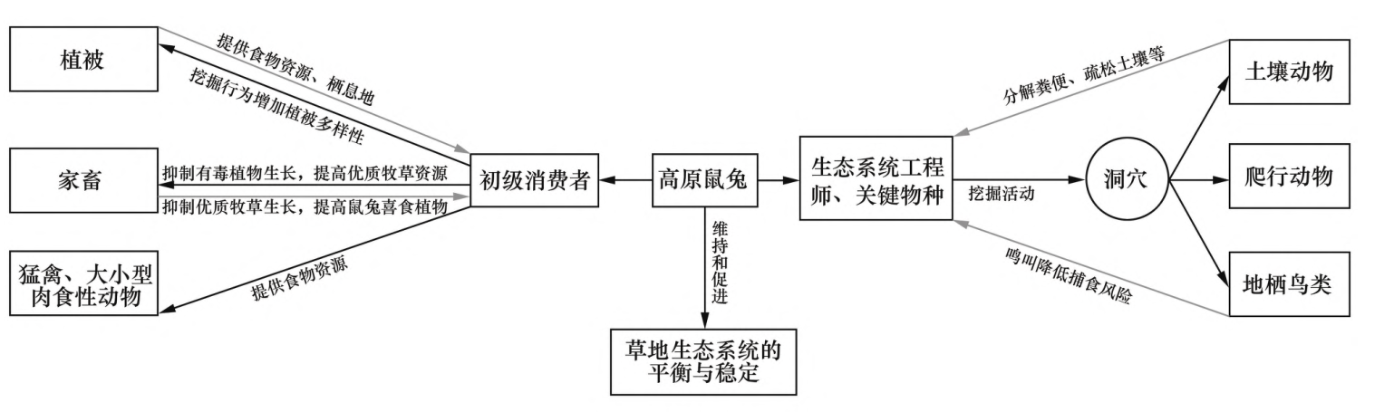 屏幕截图 2023-01-09 153034.png