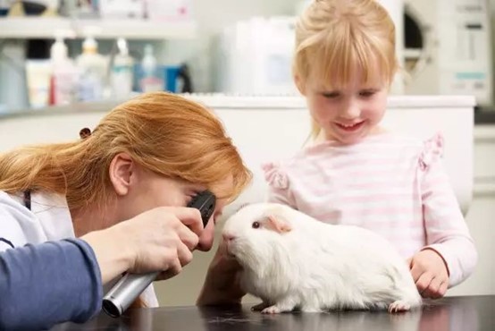 1680836176535008.jpg 图片4.jpg