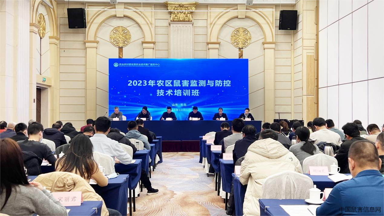 1701682517984925.png 1.png