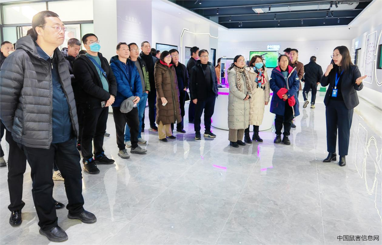 1701682531131989.png 2.png