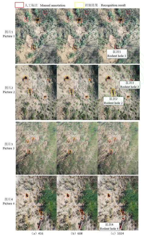 1721369713434700.png 图片5.png