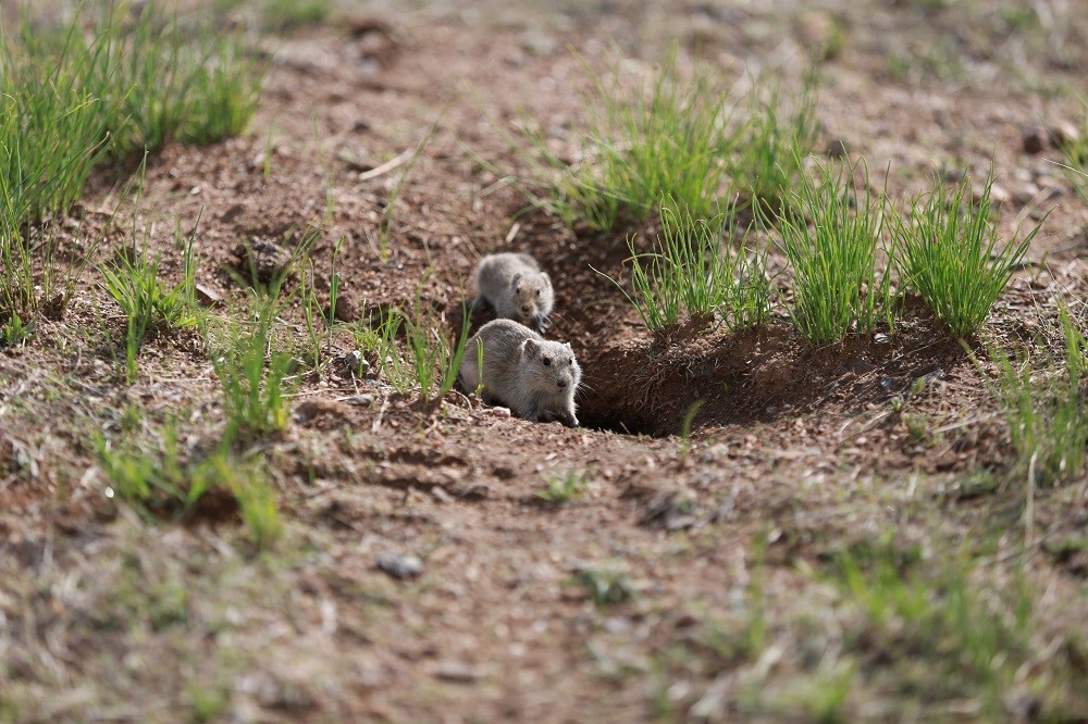 1727573917895034.jpg 1727573917895034.jpg